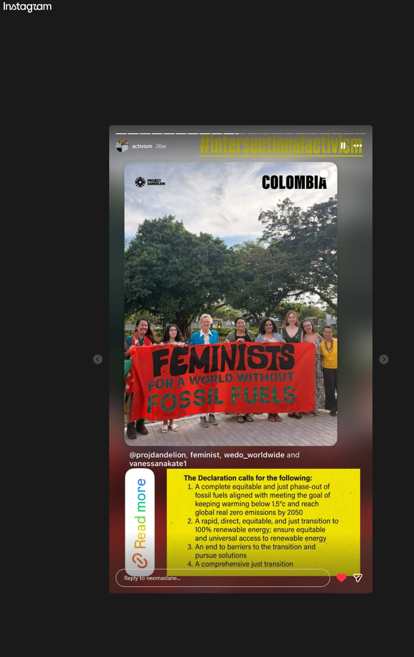Instagram screenshot about intersectional activism, feminists, and a world without fossil fuels